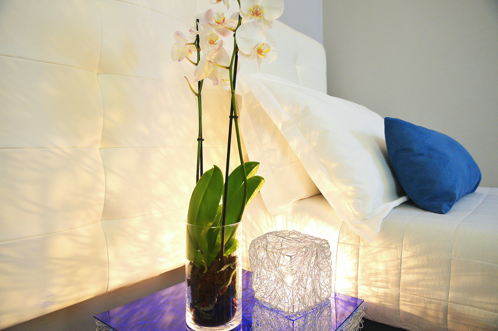 B-Cool (Adults Only) Bed & Breakfast Roma Exterior foto